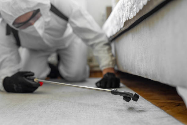 Professional Pest Control technician working in Rancho Tehama Reserve, CA