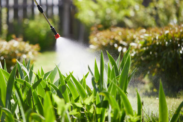 24/7 Emergency Termite Control experts in Rancho Tehama Reserve, CA