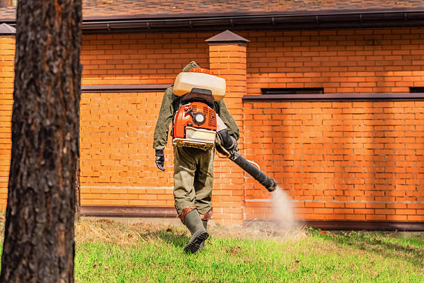 Trusted Fumigation Services service in Rancho Tehama Reserve, CA - Nex Pest Control